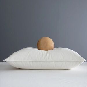 NWOT QUINCE Premium Down Pillow Standard Medium 6163